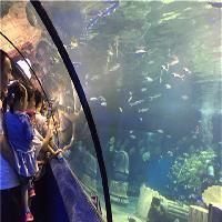 江苏张家港梦幻海洋王国张家港梦幻海洋王国