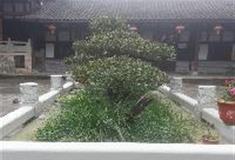 中泰天心佛文化旅游区：铁塔子