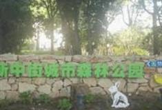 北京新中街城市森林公园怎么玩？附游玩路线