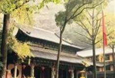 金华大佛寺怎么玩？附游玩路线