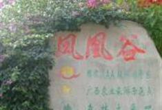 南宁凤凰谷怎么玩？附游玩路线