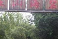 大连碧海山庄遗址怎么玩？附游玩路线