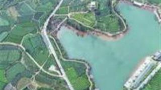丽水大木山茶园景区怎么玩？附游玩路线