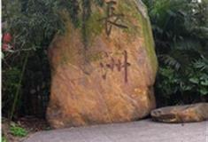 广州长洲岛怎么玩？附游玩路线