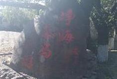 拉市海湿地公园净海马场