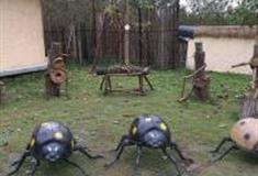 成都崇州廖家瓢虫村怎么玩？附游玩路线