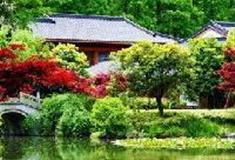 杭州西湖风景名胜区：太子湾公园