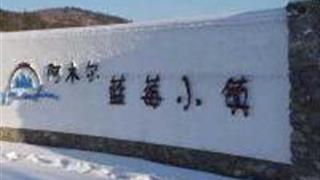 大兴安岭阿木尔中国野生蓝莓之乡怎么玩？附游玩路线