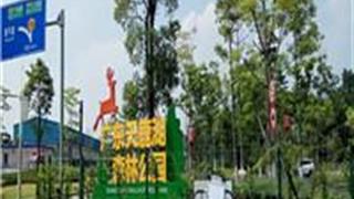 广州天鹿湖森林公园怎么玩？附游玩路线
