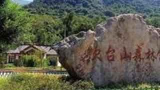 温州吹台山森林公园怎么玩？附游玩路线