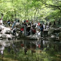 介休绵山17897