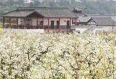 广元中国苍溪·梨文化博览园怎么玩？附游玩路线