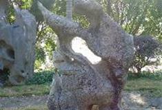 宝晶宫风景名胜区：英石园