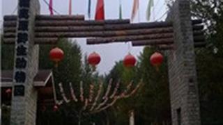 西宁青藏高原野生动物园怎么玩？附游玩路线
