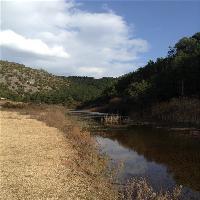 拉市海湿地公园七仙湖