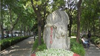 上海徐家汇公园怎么玩？附游玩路线