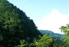 万佛山风景区：翠乳峰